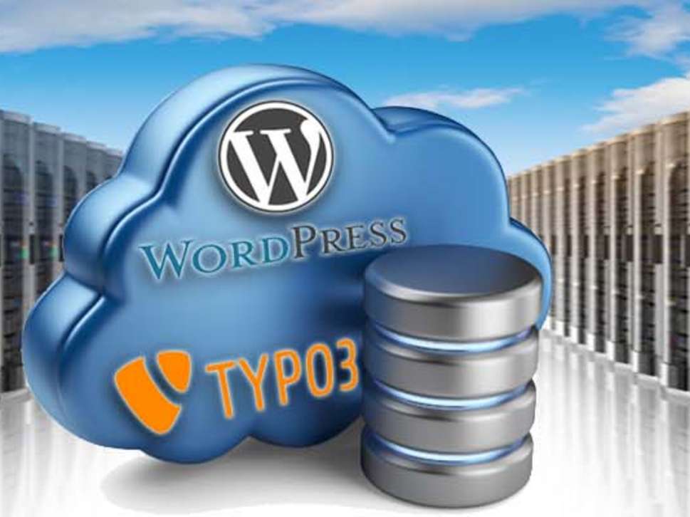 Content Management Systeme - Spezialität Typo3 und und WordPress