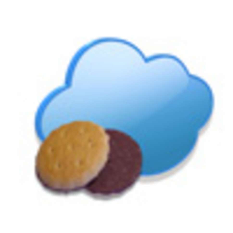 Cookie Verwendung auf der BB-ONE.net Website
