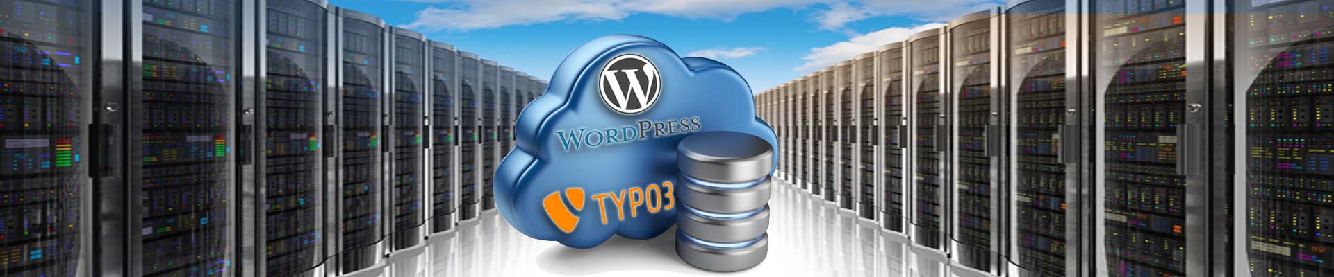 Content Management Systeme - Spezialität Typo3 und und WordPress